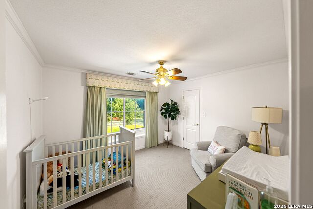 719 Walder Trail Property Photo 58