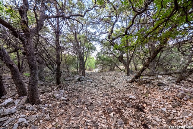 719 Walder Trail Property Photo 84