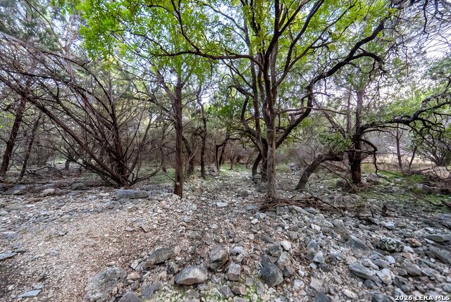 719 Walder Trail Property Photo 85