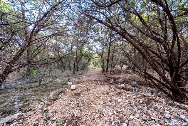 719 Walder Trail Property Photo 86