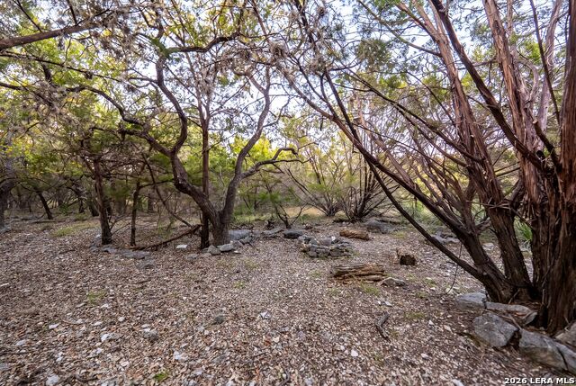 719 Walder Trail Property Photo 89