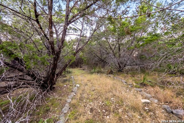719 Walder Trail Property Photo 91