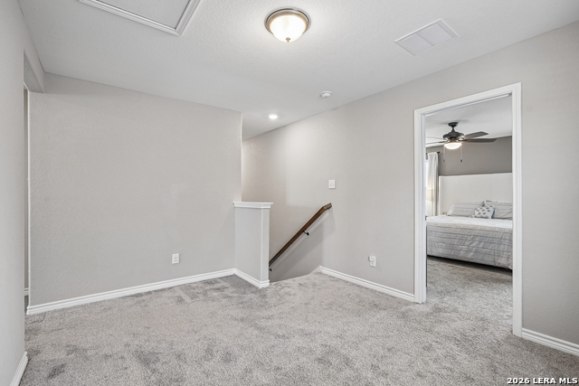 11730 Black Rose Property Photo 20