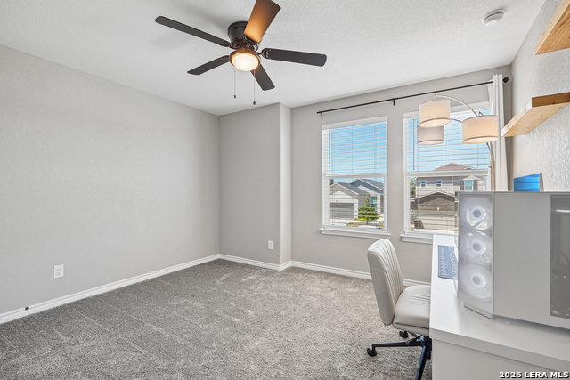 11730 Black Rose Property Photo 31