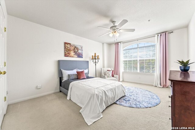 507 Catanbo Ct Property Photo 27