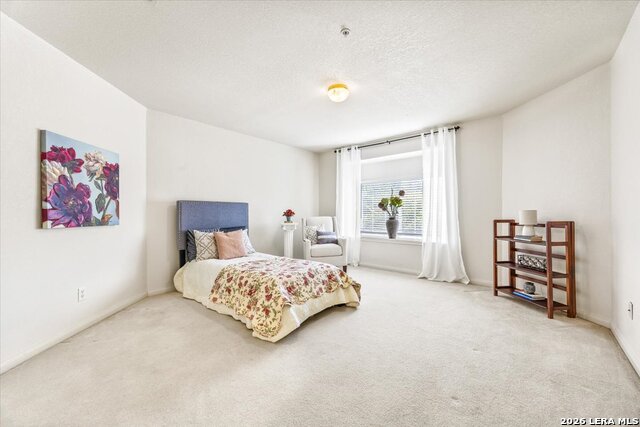 507 Catanbo Ct Property Photo 31