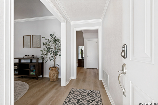8823 Shade Tree Property Photo 4