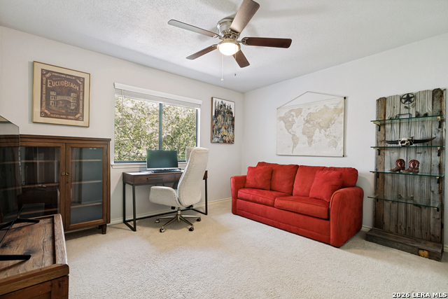 8823 Shade Tree Property Photo 20