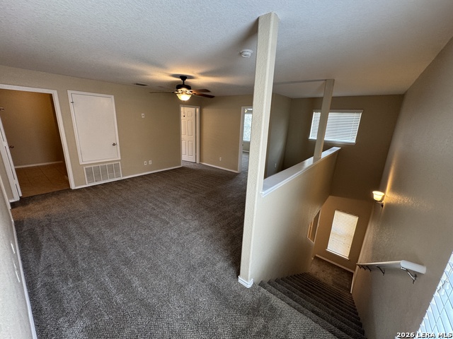 9223 Silver Vis Property Photo 19