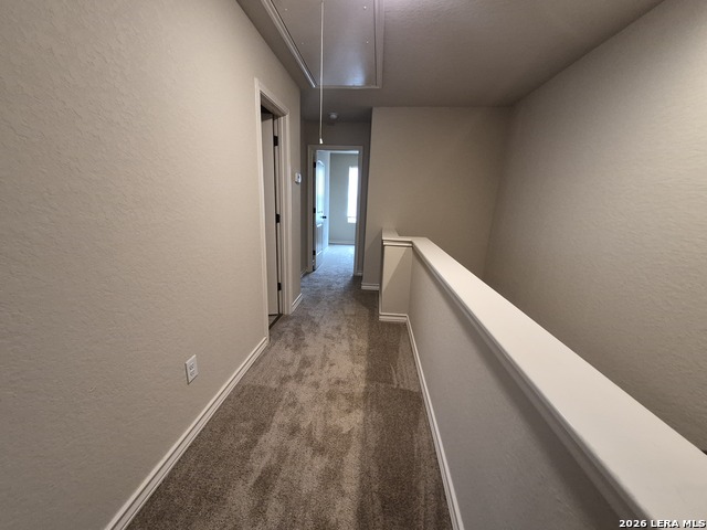 7113 Micayla Cv Property Photo 15