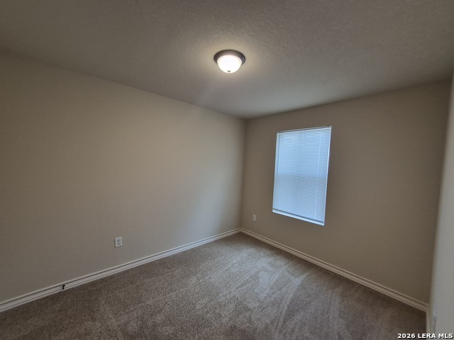 7113 Micayla Cv Property Photo 20