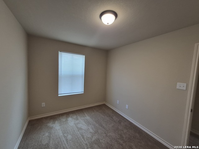 7113 Micayla Cv Property Photo 23