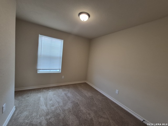 7113 Micayla Cv Property Photo 24