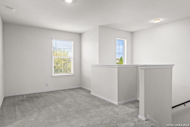 13918 Cyprus Sedge Property Photo 15