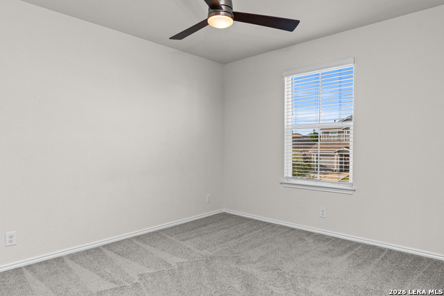 13918 Cyprus Sedge Property Photo 17