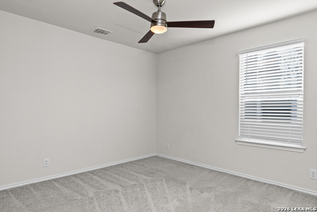 13918 Cyprus Sedge Property Photo 19