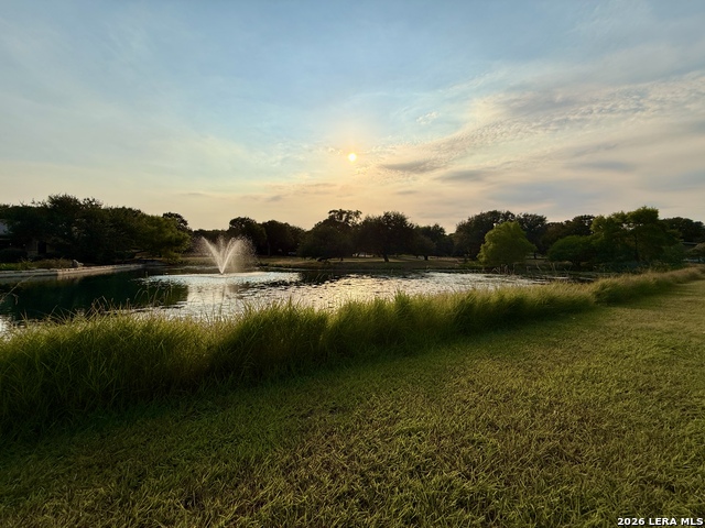 21210 Forest Waters Cir Property Photo 45