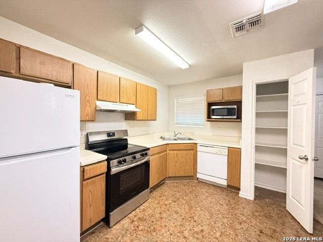 11703 Capotillo Property Photo 3