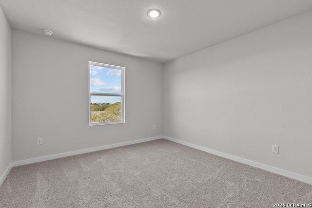 9975 Chavaneaux Lndg Property Photo 19