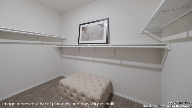 10706 Dazzle Property Photo 22