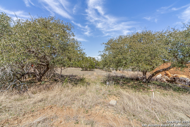 48 Muirfield Property Photo 15