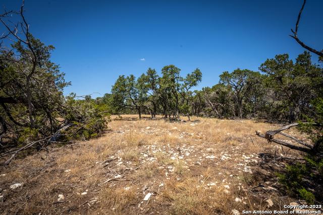 45 Mezcaya Trl Property Photo 12