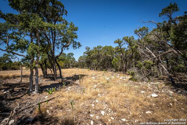 45 Mezcaya Trl Property Photo 16