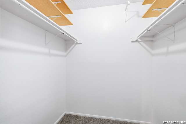 10434 Shallow Xing Property Photo 14