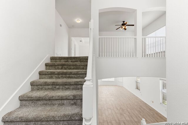 4214 Loring Property Photo 21