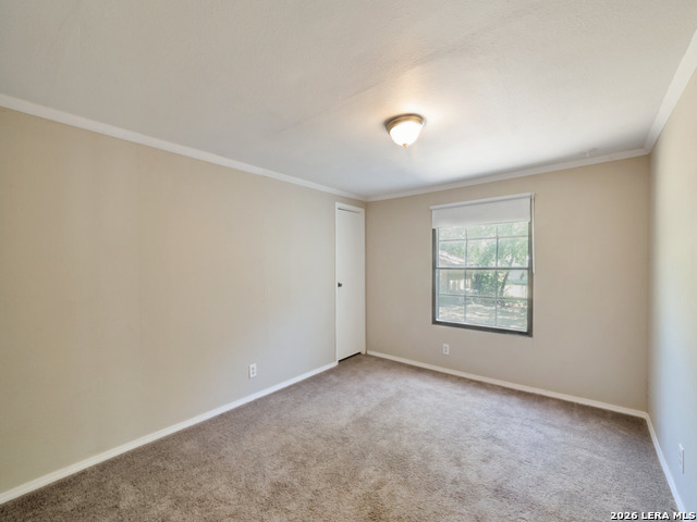 13634 Owl Tree St Property Photo 15