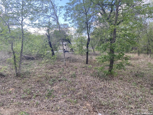 1823 Comal Cv Property Photo 7