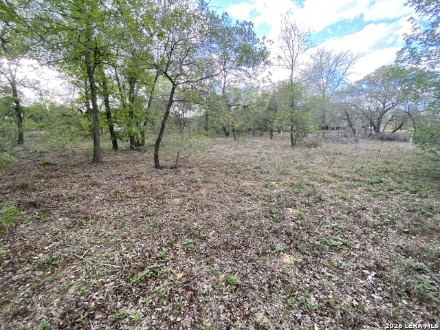 1823 Comal Cv Property Photo 8