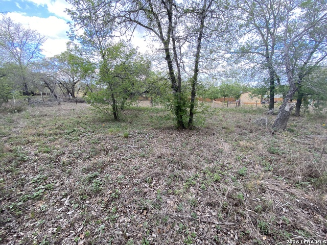 1823 Comal Cv Property Photo 10