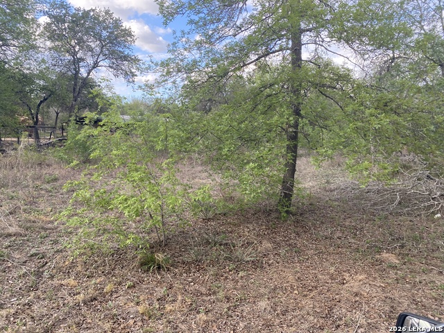 1823 Comal Cv Property Photo 11