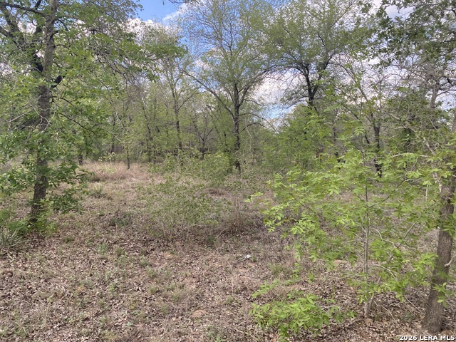 1823 Comal Cv Property Photo 12
