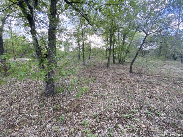 1823 Comal Cv Property Photo 13