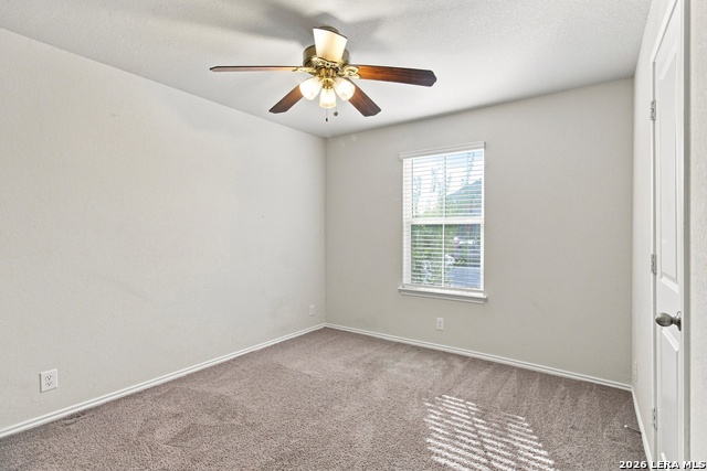 9950 Spotted Rose Property Photo 9