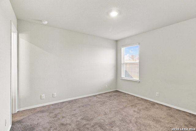 9950 Spotted Rose Property Photo 12