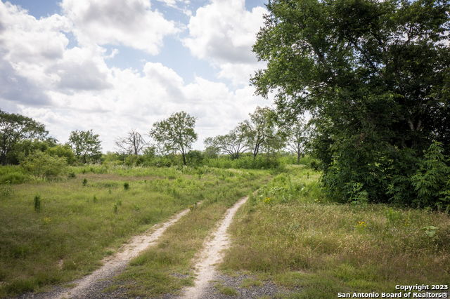 181 Pine Meadow Rd Property Photo 13