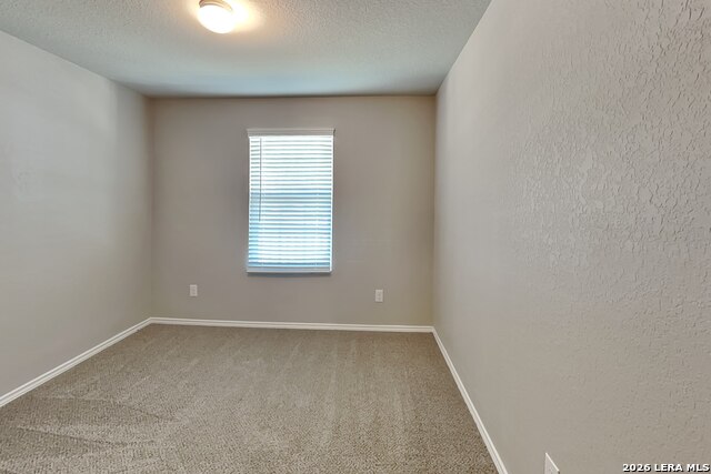 2431 Pechora Pipit Property Photo 12