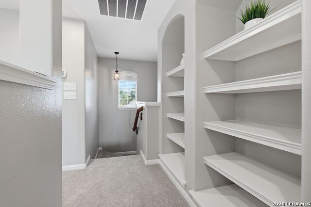 12626 Lisianthus Property Photo 25