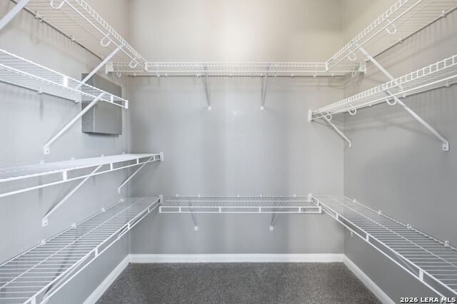12626 Lisianthus Property Photo 36