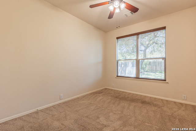 1303 Alpine Pond Property Photo 19