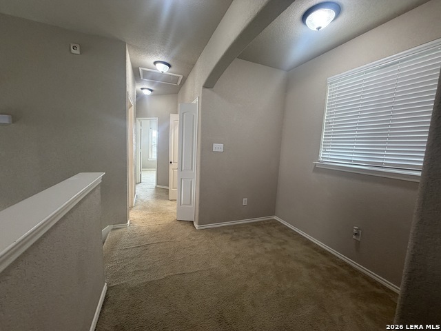 1307 Tweed Willow Property Photo 9