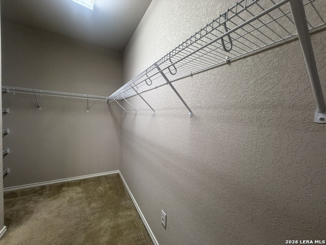 1307 Tweed Willow Property Photo 13