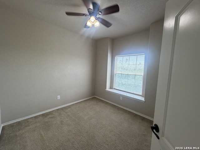 1307 Tweed Willow Property Photo 16
