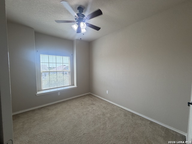 1307 Tweed Willow Property Photo 18