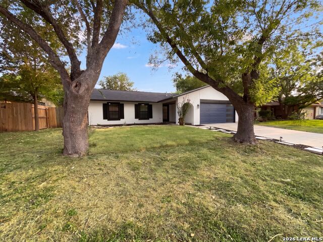 6718 Spring Haven St Property Photo 17
