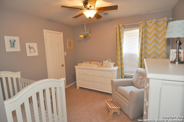 12427 Hart Cliff Property Photo 16