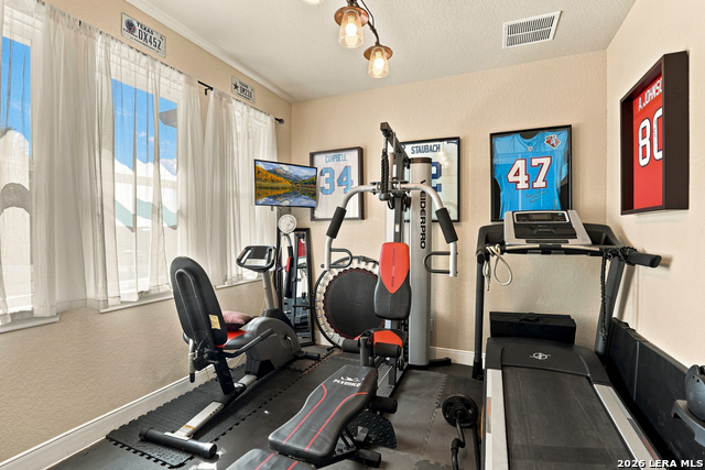 137 Sendera Way Property Photo 26